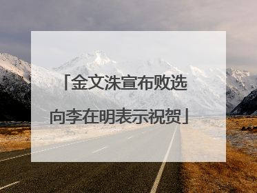 金文洙宣布败选 向李在明表示祝贺